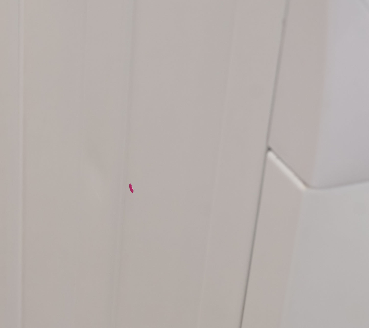 Washing Machine by Zanussi