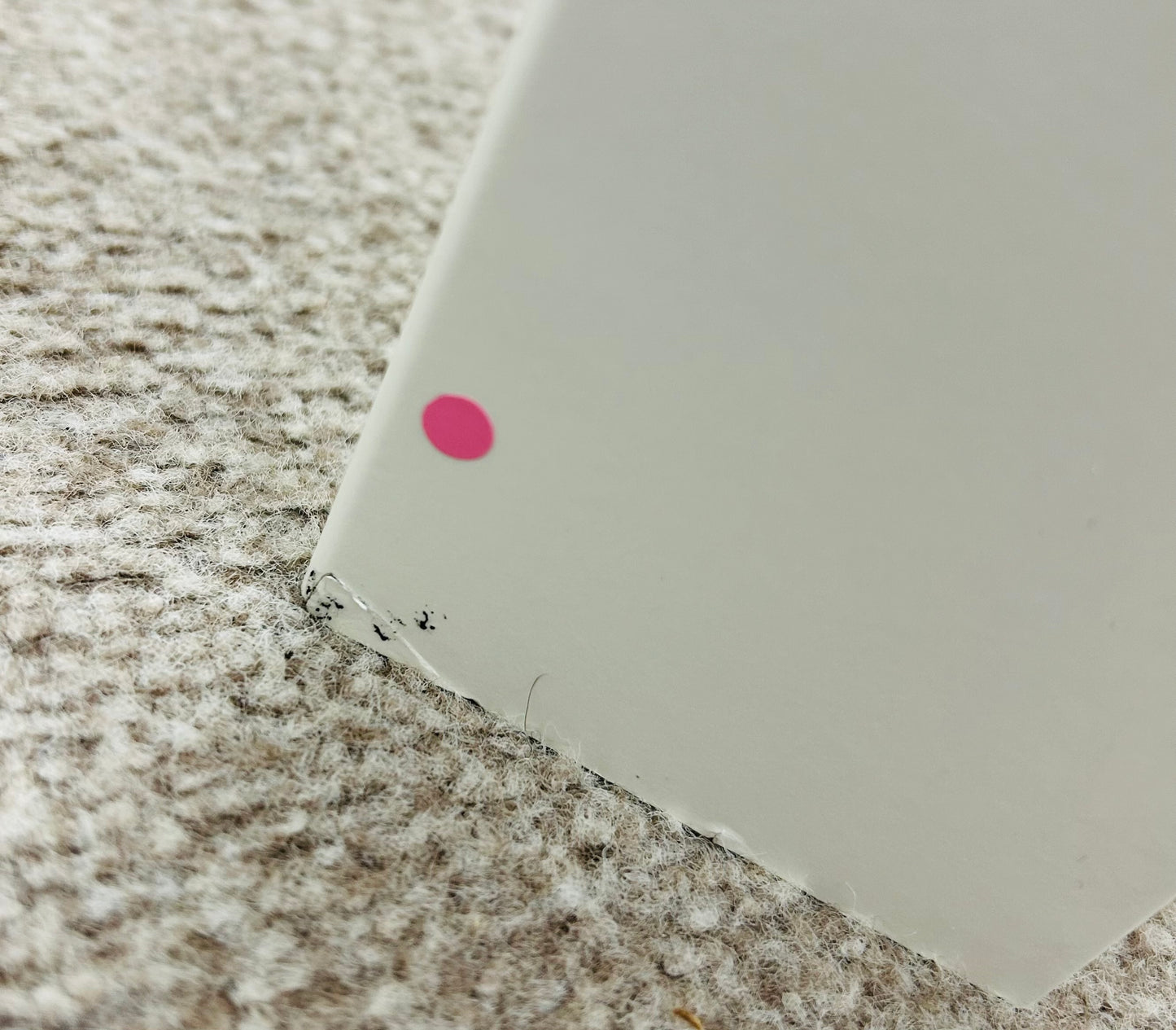 Single Bed & Sanitised Mattress by Gillies