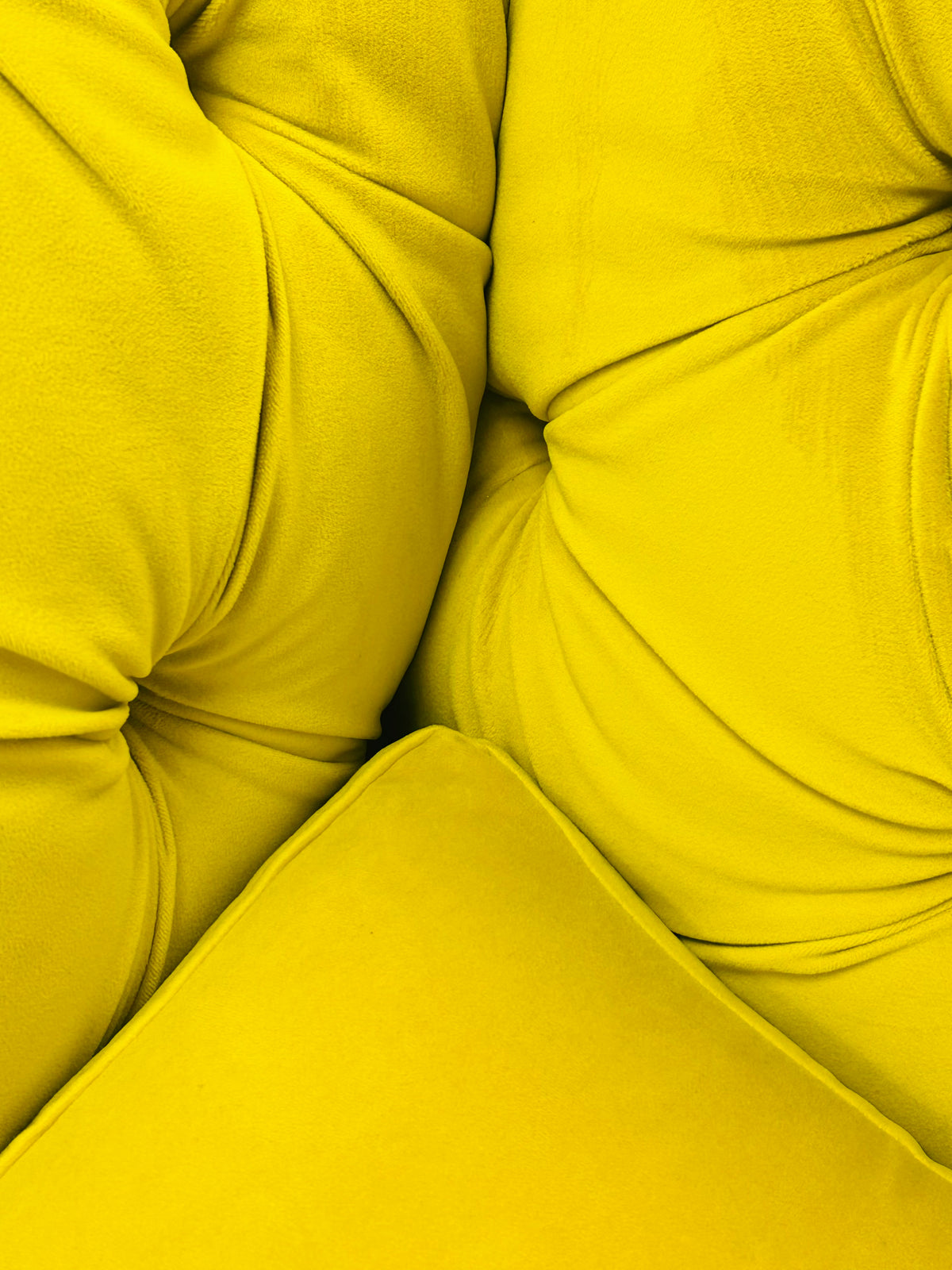 Windsor Velvet Armchair by Joules