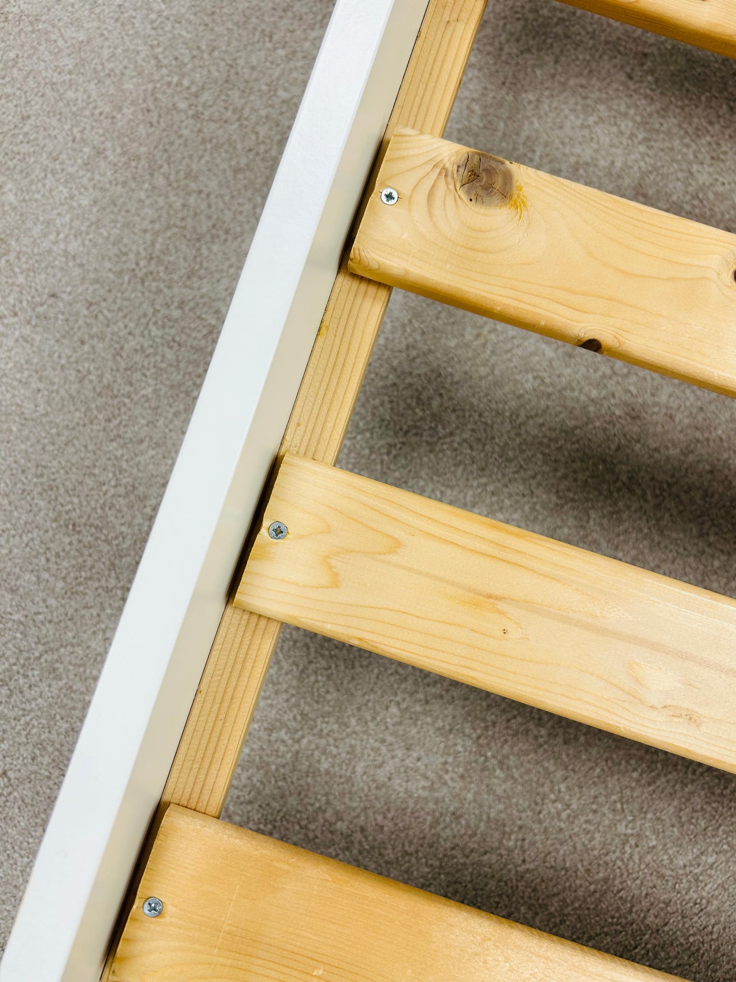 Single Bed & Sanitised Mattress by Gillies