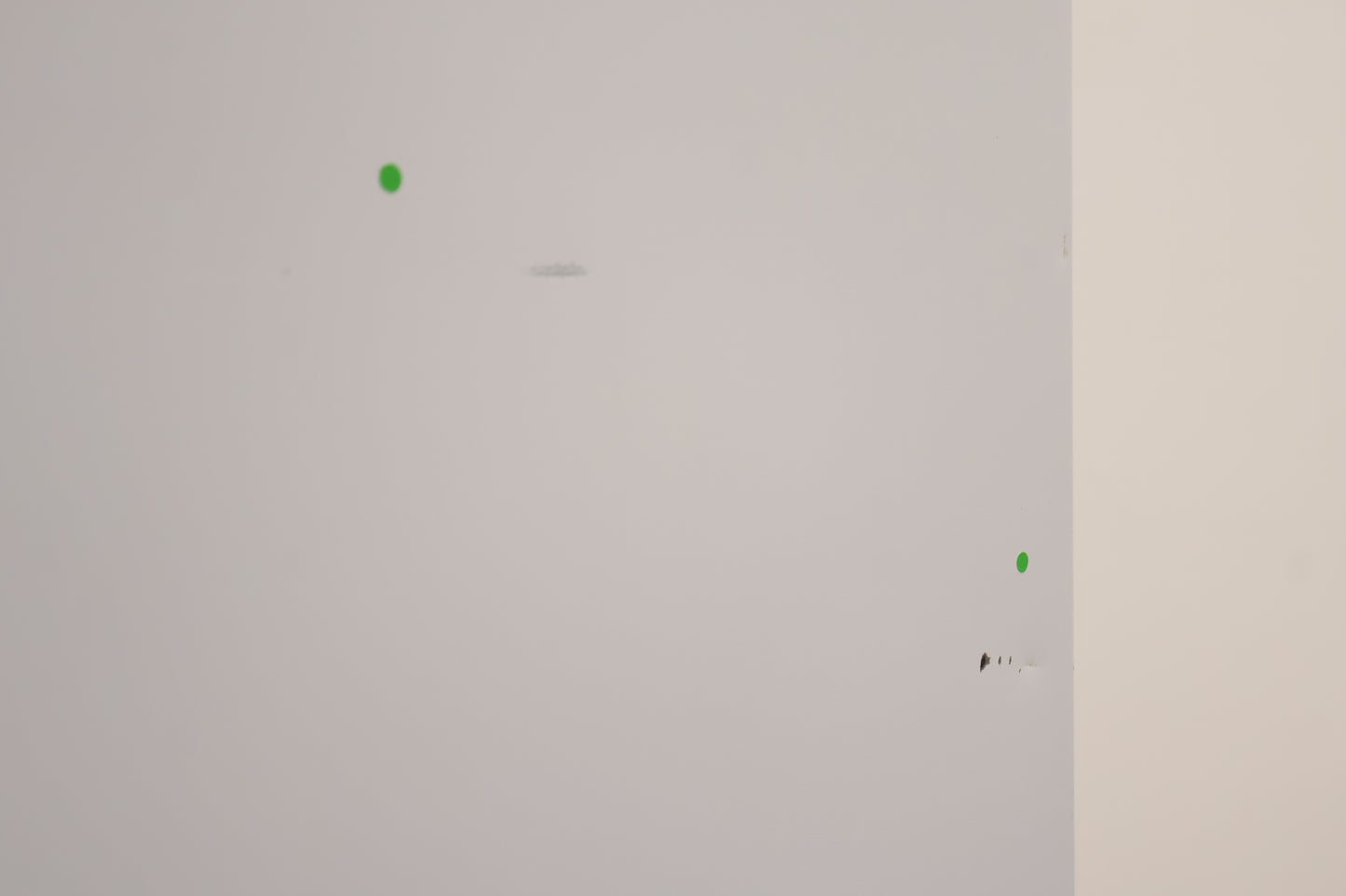 Fridge Freezer By Haden