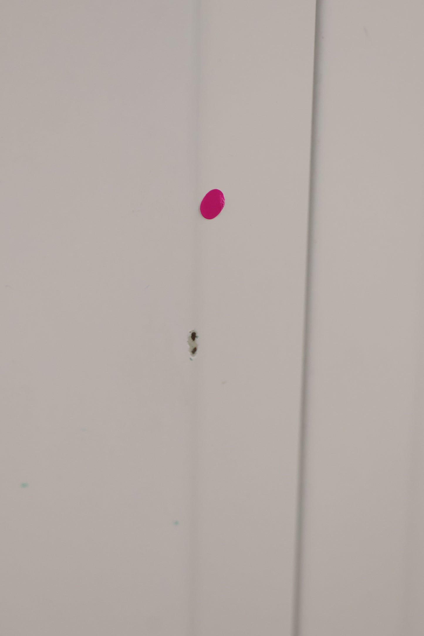 Washing Machine by Zanussi