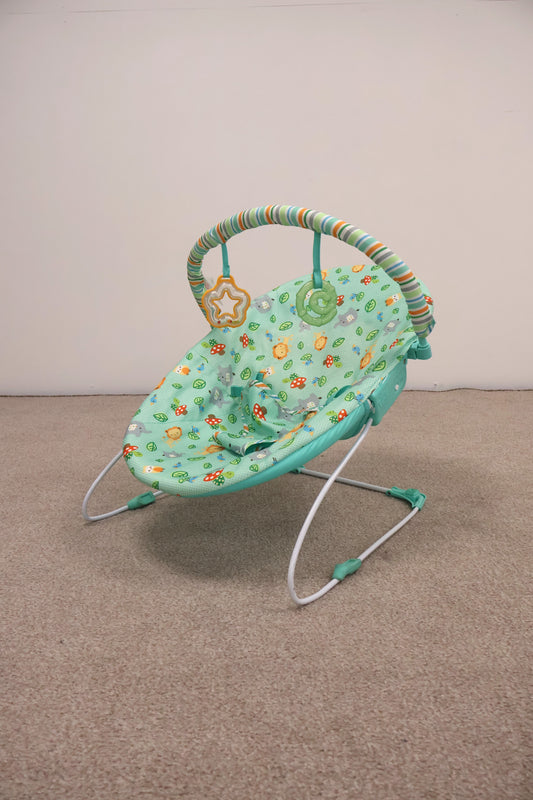 Bright Starts Baby Bouncer