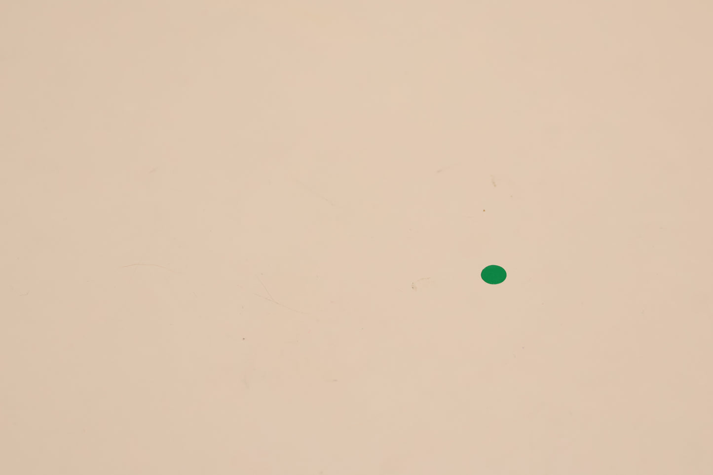 Ivory desk and Chair