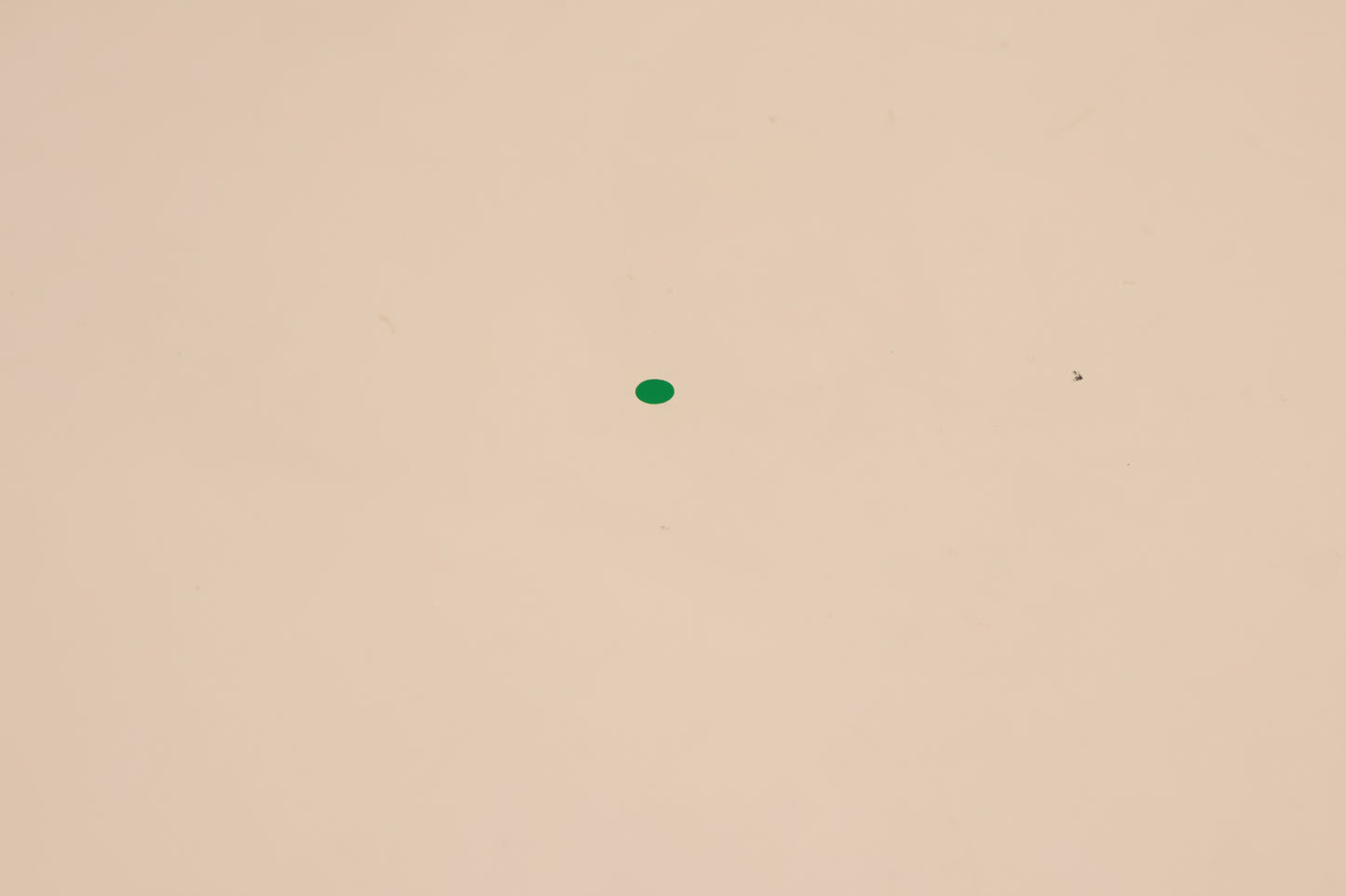 Ivory desk and Chair