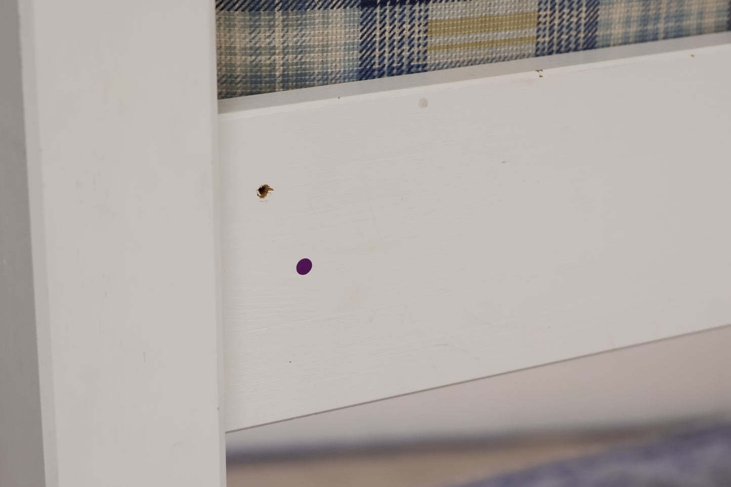 Bunk Bed with Sanitised Mattresses