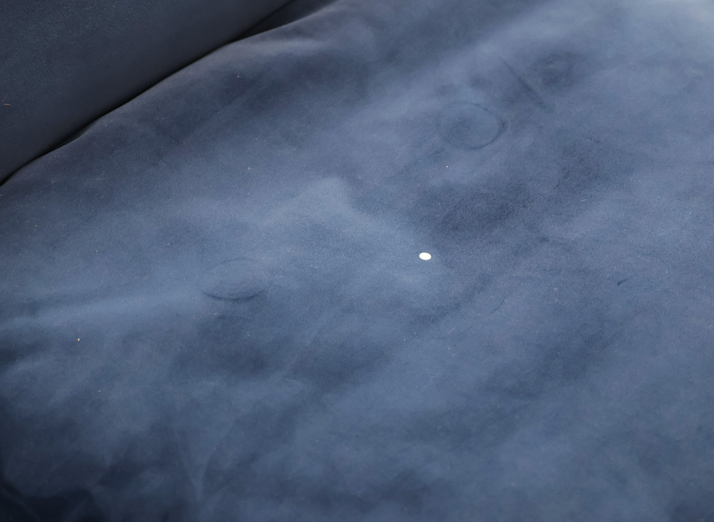 Blue Velvet Occasional Chair