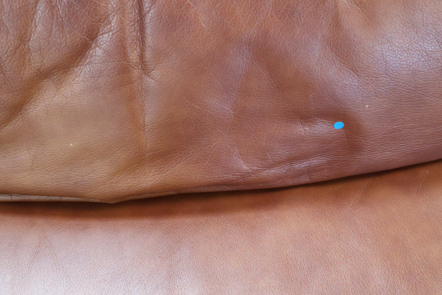 Brown Leather Sofa