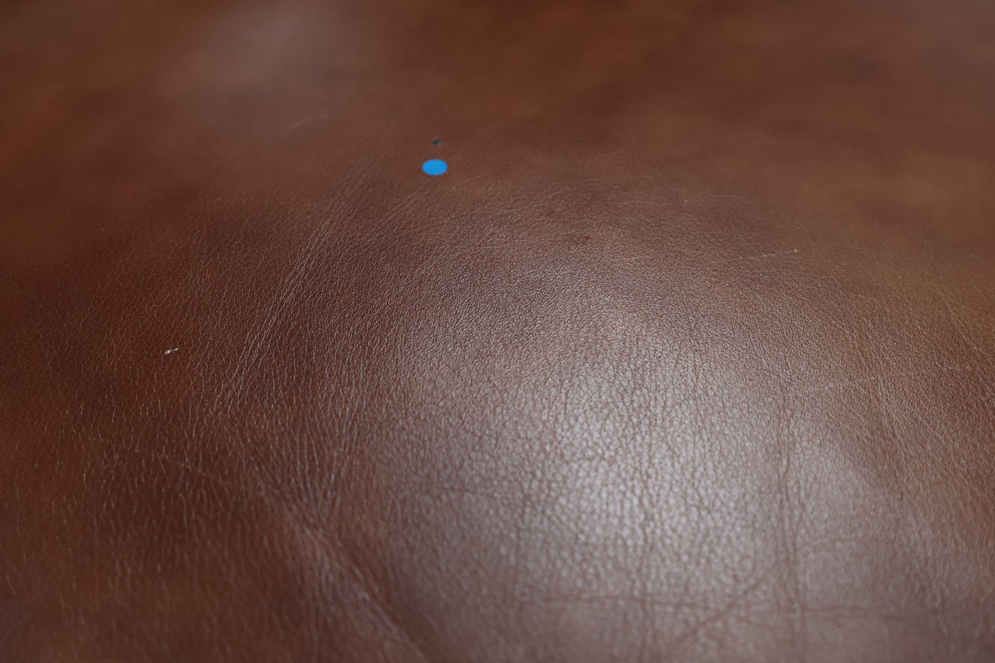 Brown Leather Sofa